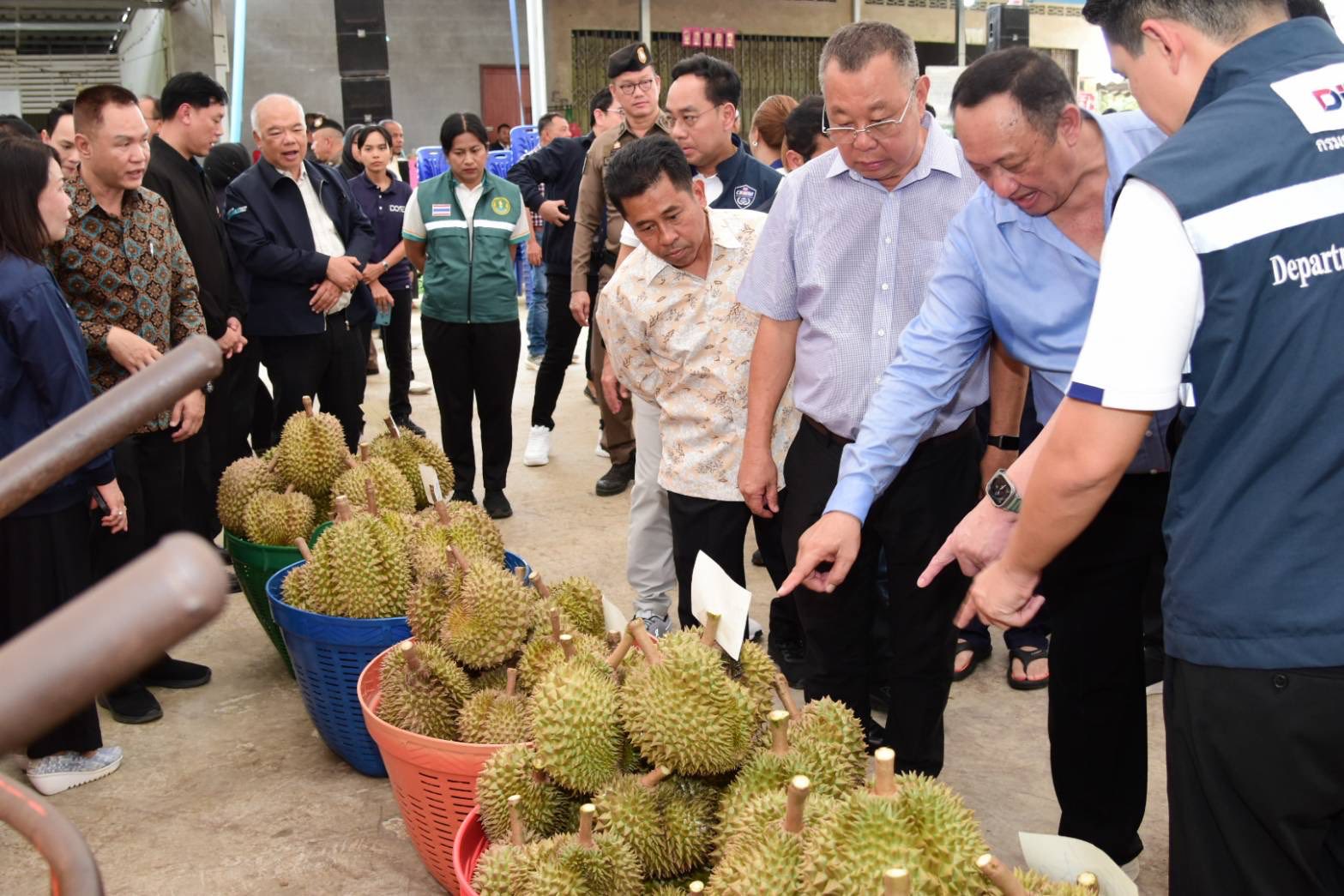 จตุพร ประกาศ “พาณิชย์พึ่งได้”หนุนทุเรียนเบตง ราคาขยับสูง เสริมเครือข่ายผู้ซื้อ ผู้ขายเข้มแข็ง 
