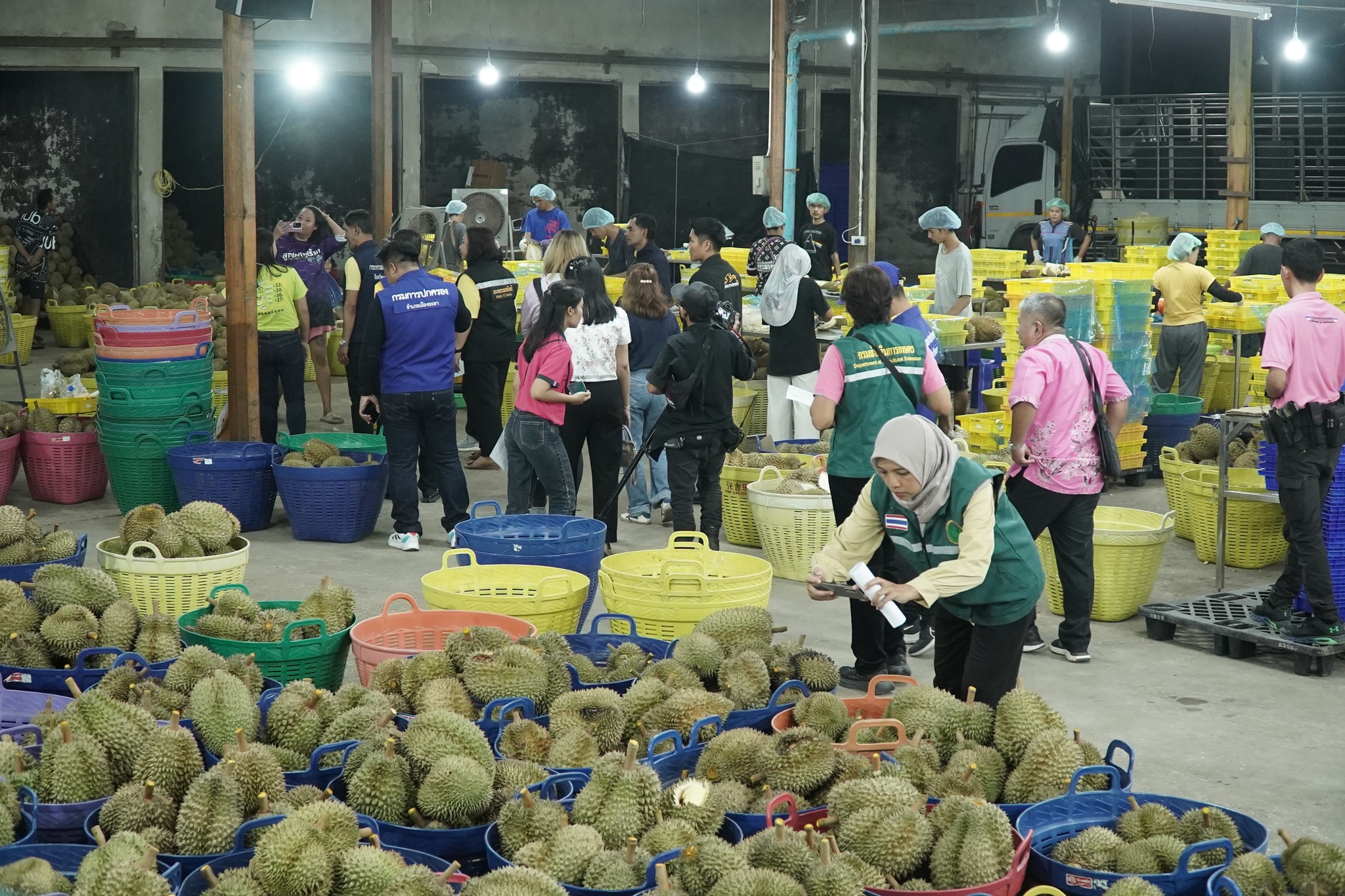 ผู้ว่าฯยะลา ตรวจล้ง ตลาดรับซื้อทุเรียนที่ยะลา เผย มีมาตรการคัดกรองเข้ม 4 ชั้นตอน ก่อนปิดตู้ส่งจีน ป้องกันหนอนเจาะเมล็ดทุเรียน 