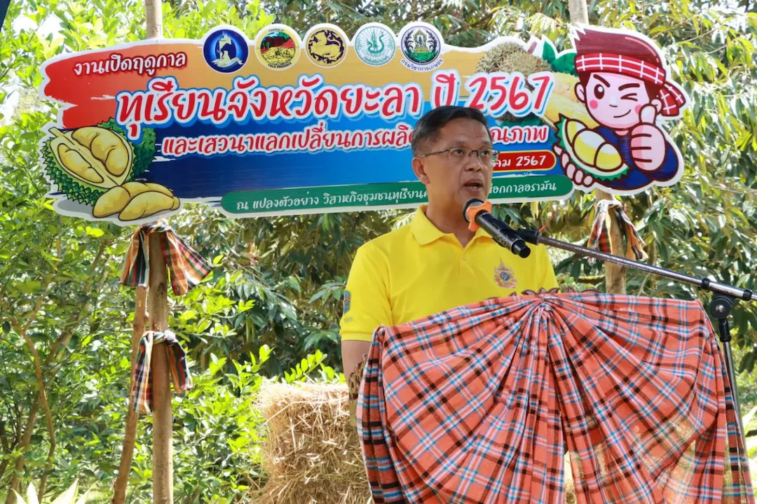 รองผู้ว่าฯ ยะลา ลงพื้นที่ ณ แปลงตัวอย่าง วิสาหกิจชุมชนทุเรียนคุณภาพช้างเผือกกาลอรามัน จ.ยะลา เปิดฤดุกาลเก็บเกี่ยวทุเรียน จังหวัดยะลา