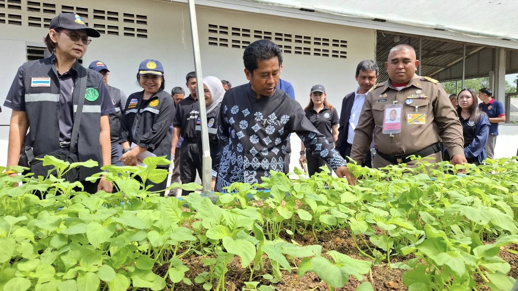 รองผู้ว่าฯ ยะลา ลงพื้นที่โครงการฟาร์มตัวอย่างบ้านวังพญา–ท่าธง ขับเคลื่อนและขยายผลโครงการอันเนื่องมาจากพระราชดำริ